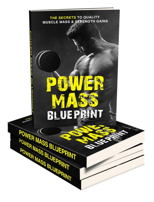 a1232  Power Mass Blueprint