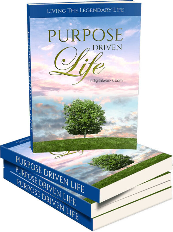 a1248  Purpose Driven Life