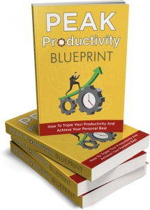 Peak Productivity System