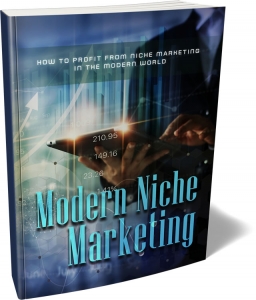 Niche Marketing Strategy Guide