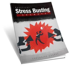 Online Income Systems Guide