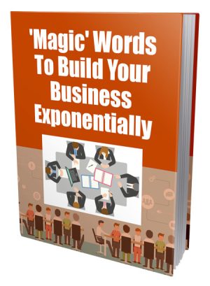 Magic Words Build Business PLR