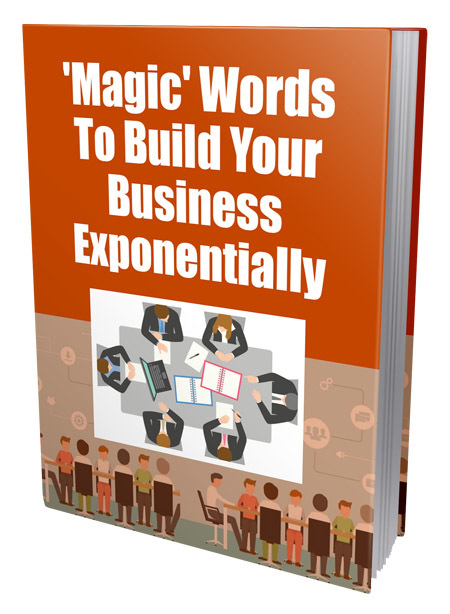 Magic Words Build Business PLR