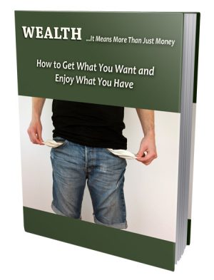 Wealth Report PLR