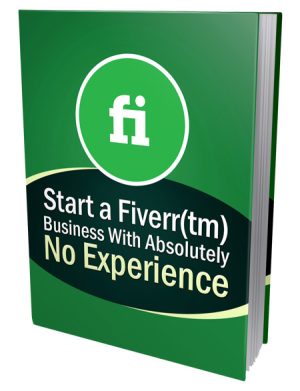 Start Fiverr Business PLR