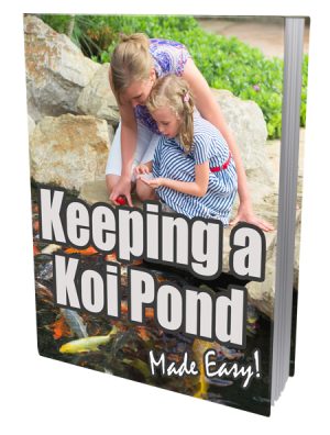 Keeping Koi Pond PLR