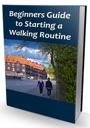 Beginner Walking Routine PLR