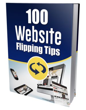 100 Website Flipping Tips PLR