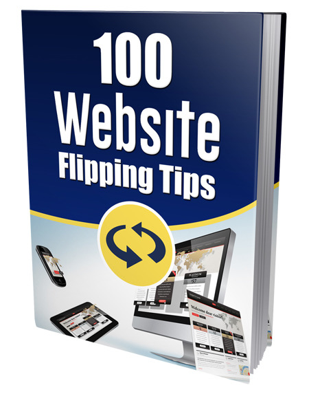 100 Website Flipping Tips PLR