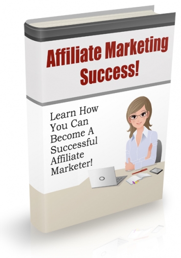 Affiliate Marketing Success 2013