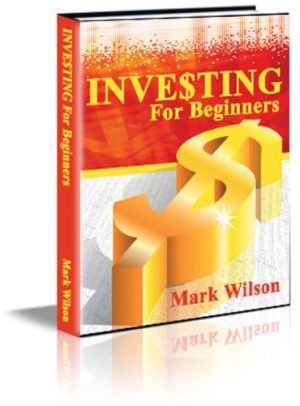 Investment Basics Newsletter PLR