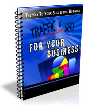 Traffic SEO