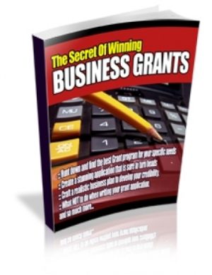 Winning Business Grants Guide