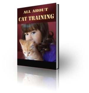 Cat Training Guide