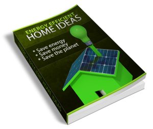 Energy Efficient Home Ideas PLR