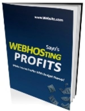 Web Hosting Profits