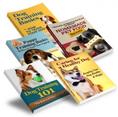 Dog Training Essentials