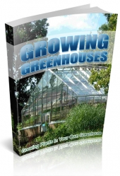 Growing Plants In Greenhouse