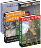 Birding For Beginners