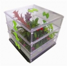 Greenhouse Gardening Tips