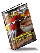 American Gardening Guide