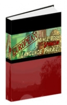 Spanish Language Phrases Guide